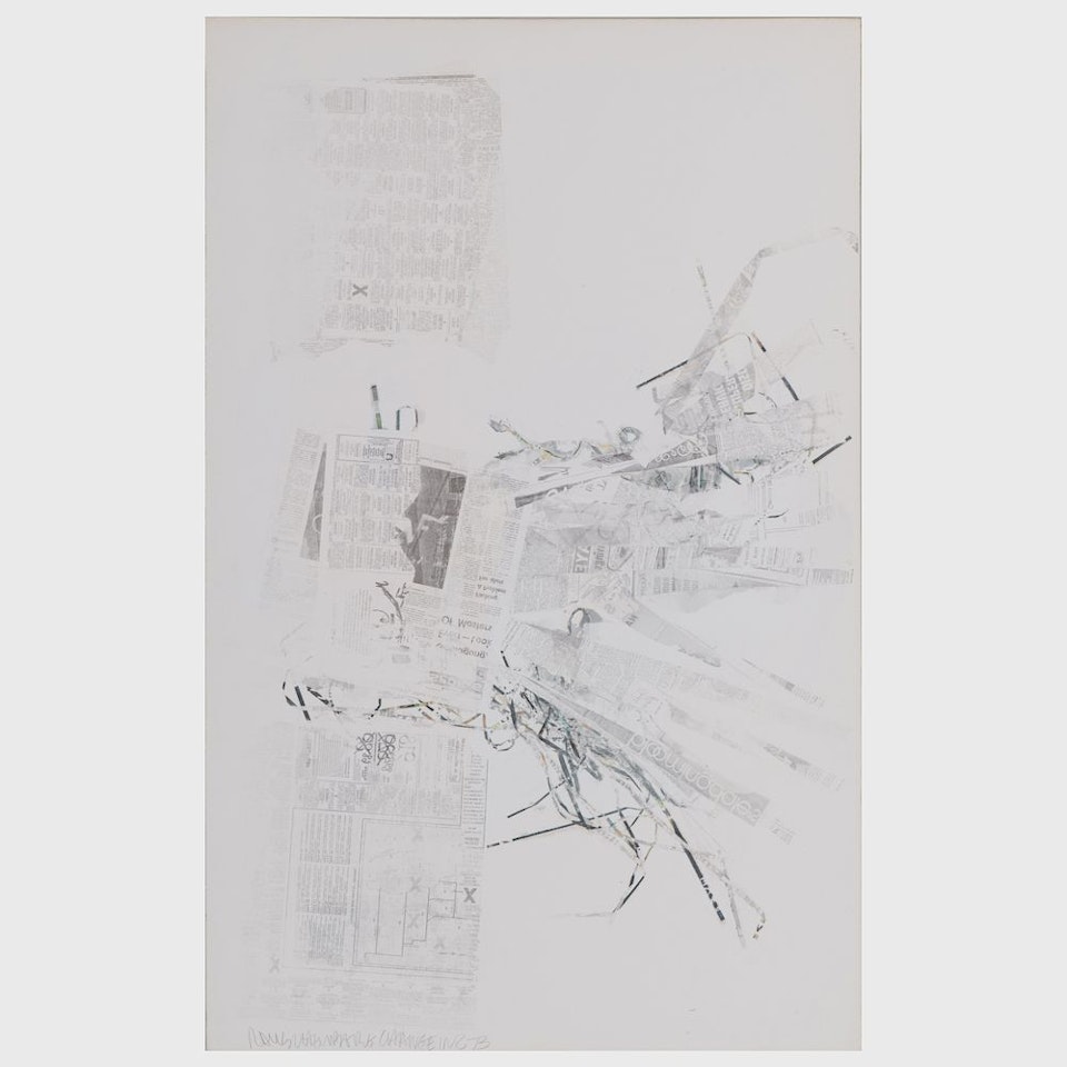 Coconut, from Crops by Robert Rauschenberg