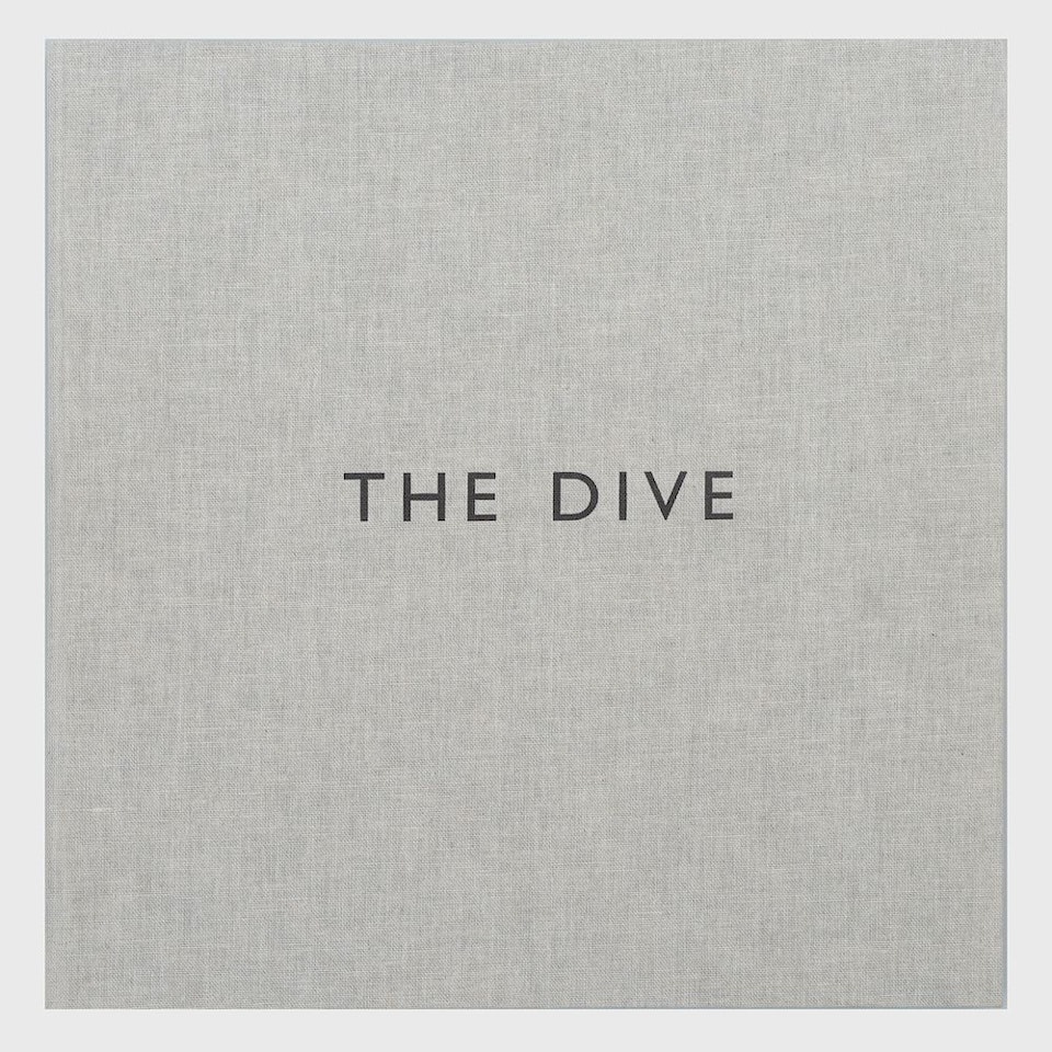 The Dive by Alex Katz