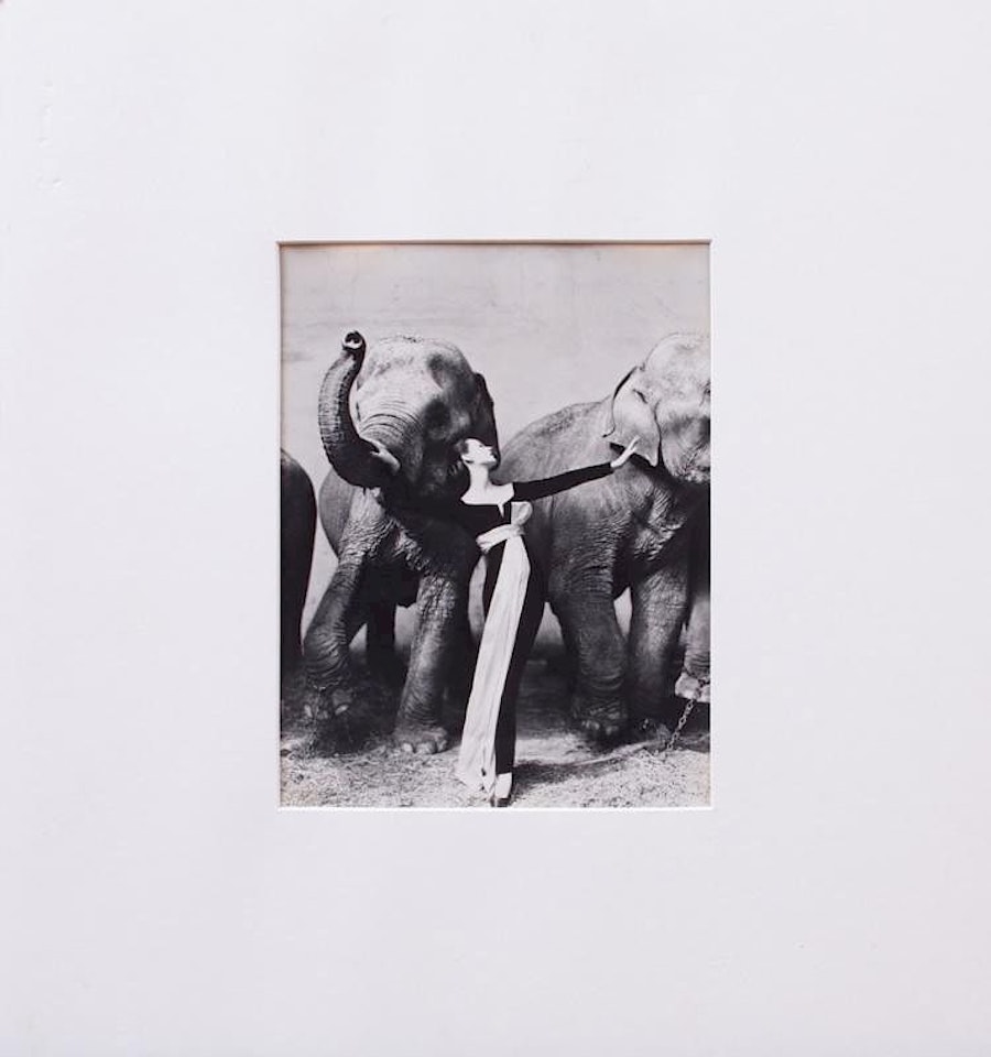 DOVIMA WITH ELEPHANTS by Richard Avedon