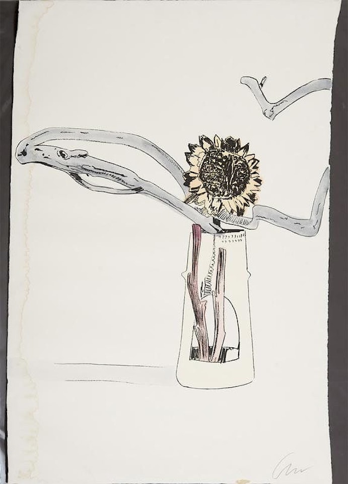 FLOWER, FROM FLOWERS (HAND-COLORED by Andy Warhol