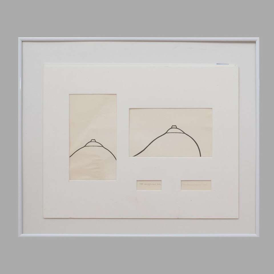 Two Unofficial Tits by Tom Wesselmann