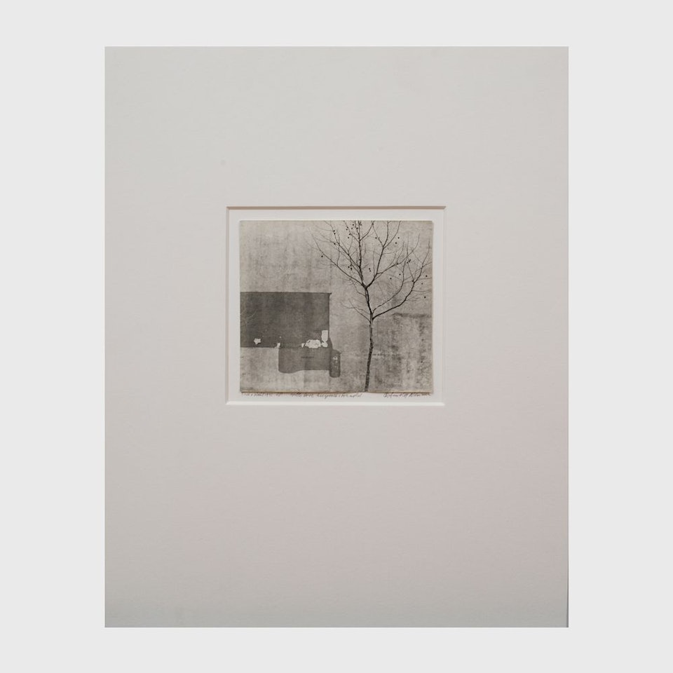 Tree and Wall by Arnold Newman