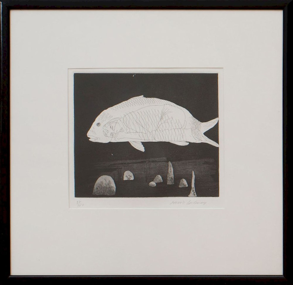 BOY HIDDEN IN A FISH by David Hockney