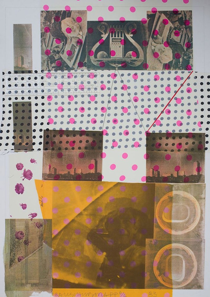 CAGE by Robert Rauschenberg