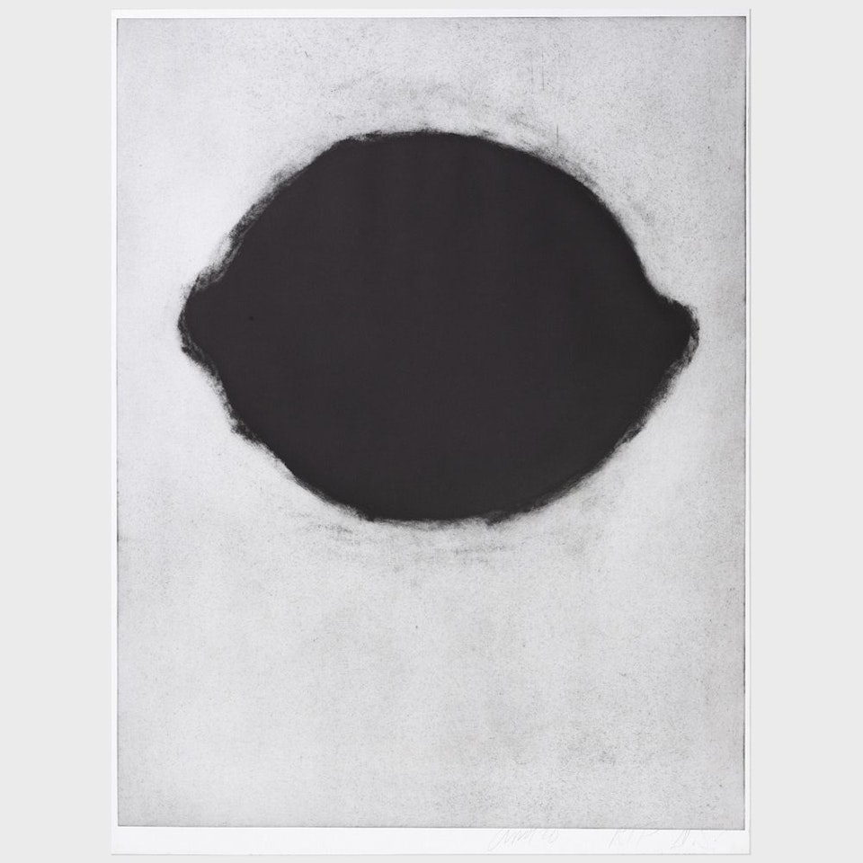 Black Lemon by Donald Sultan