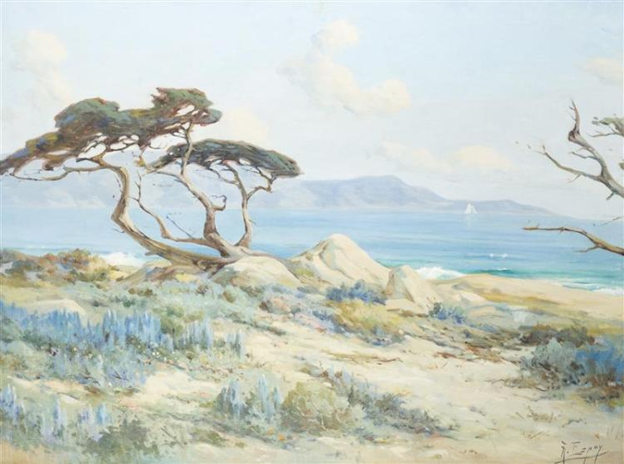 Coastal with lupine by Angel Espoy