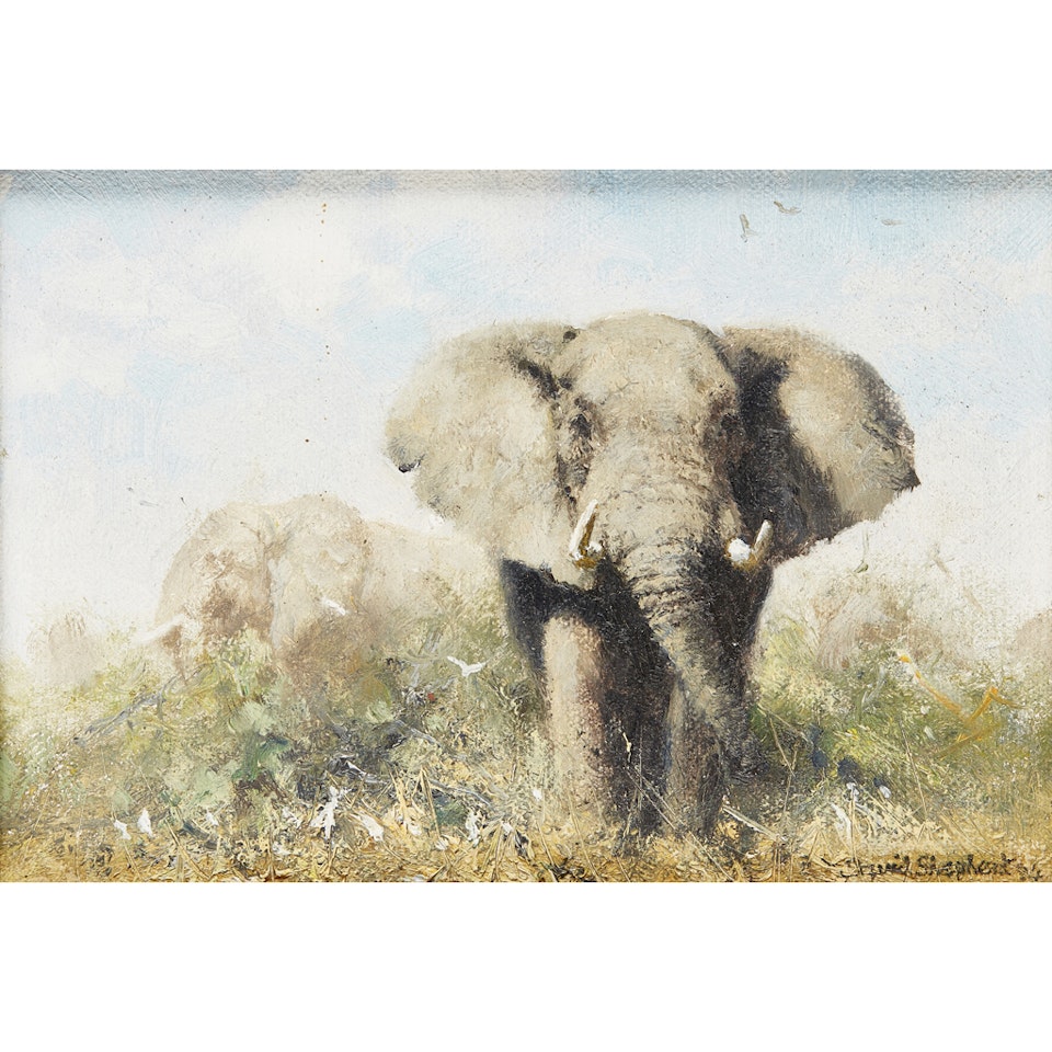 AFRICAN ELEPHANTS by David Shepherd