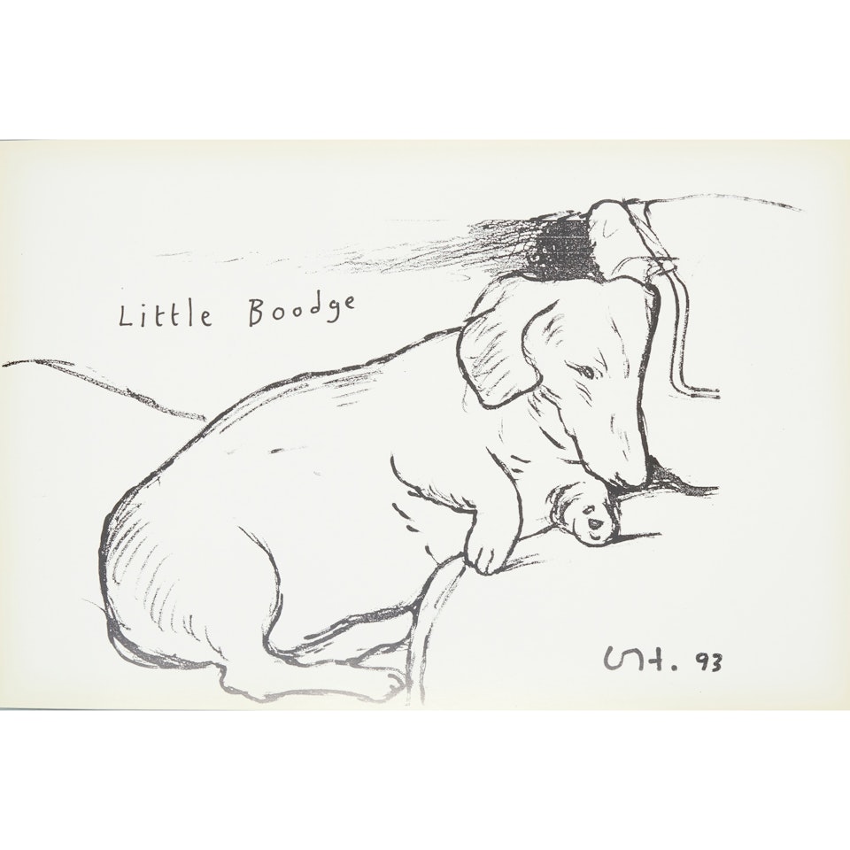 LITTLE BOODGE by David Hockney