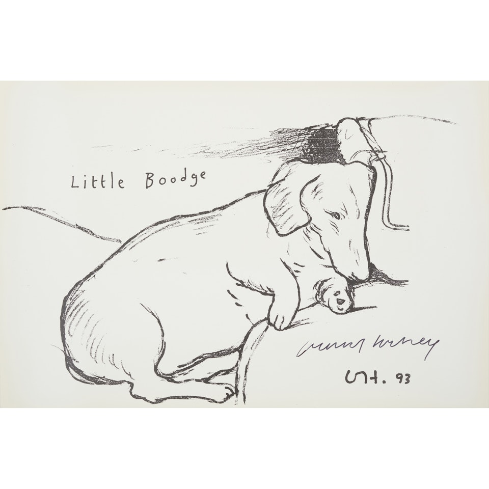 LITTLE BOODGE by David Hockney