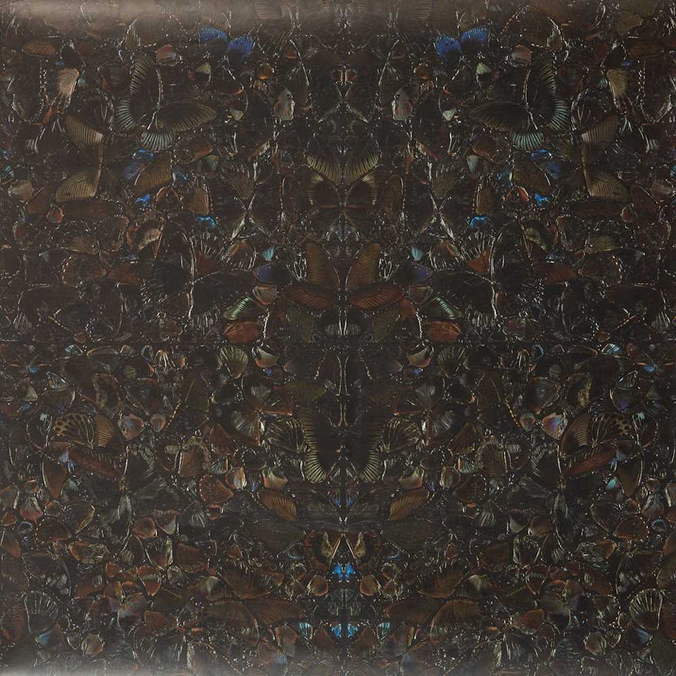 VALLEY OF DEATH by Damien Hirst