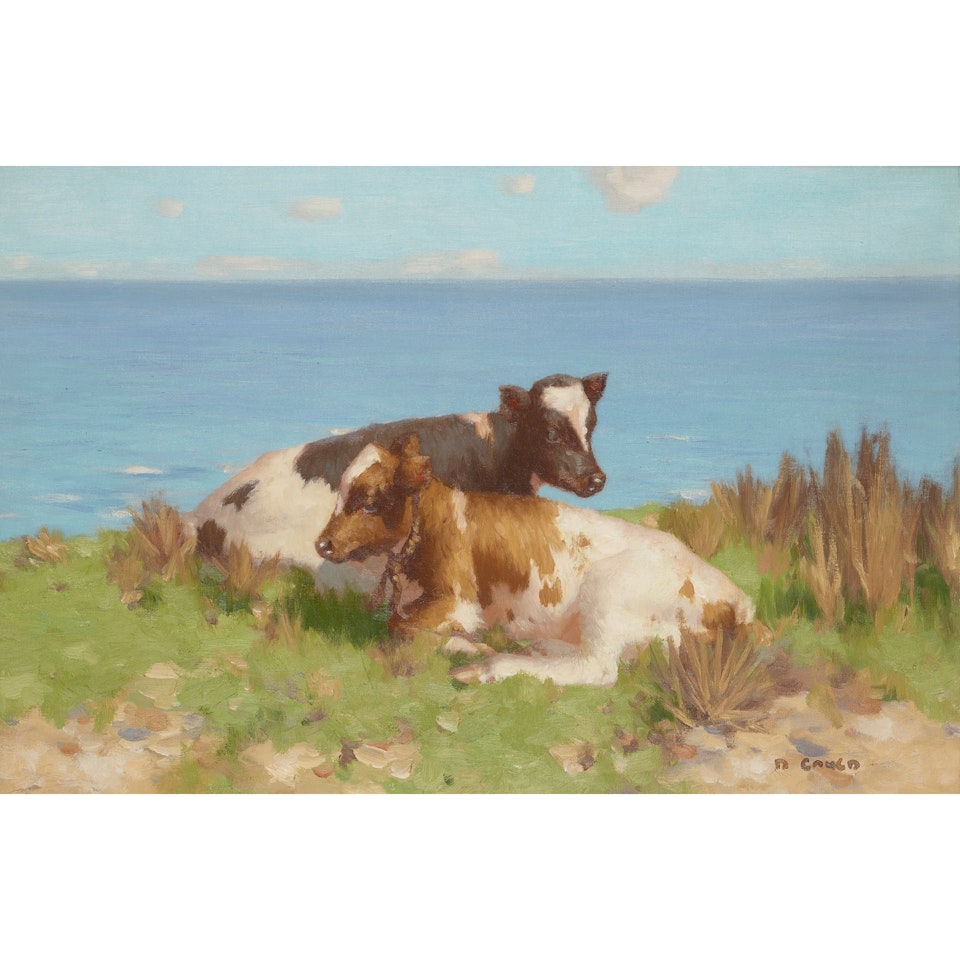 CALVES BY THE SEA by David Gauld