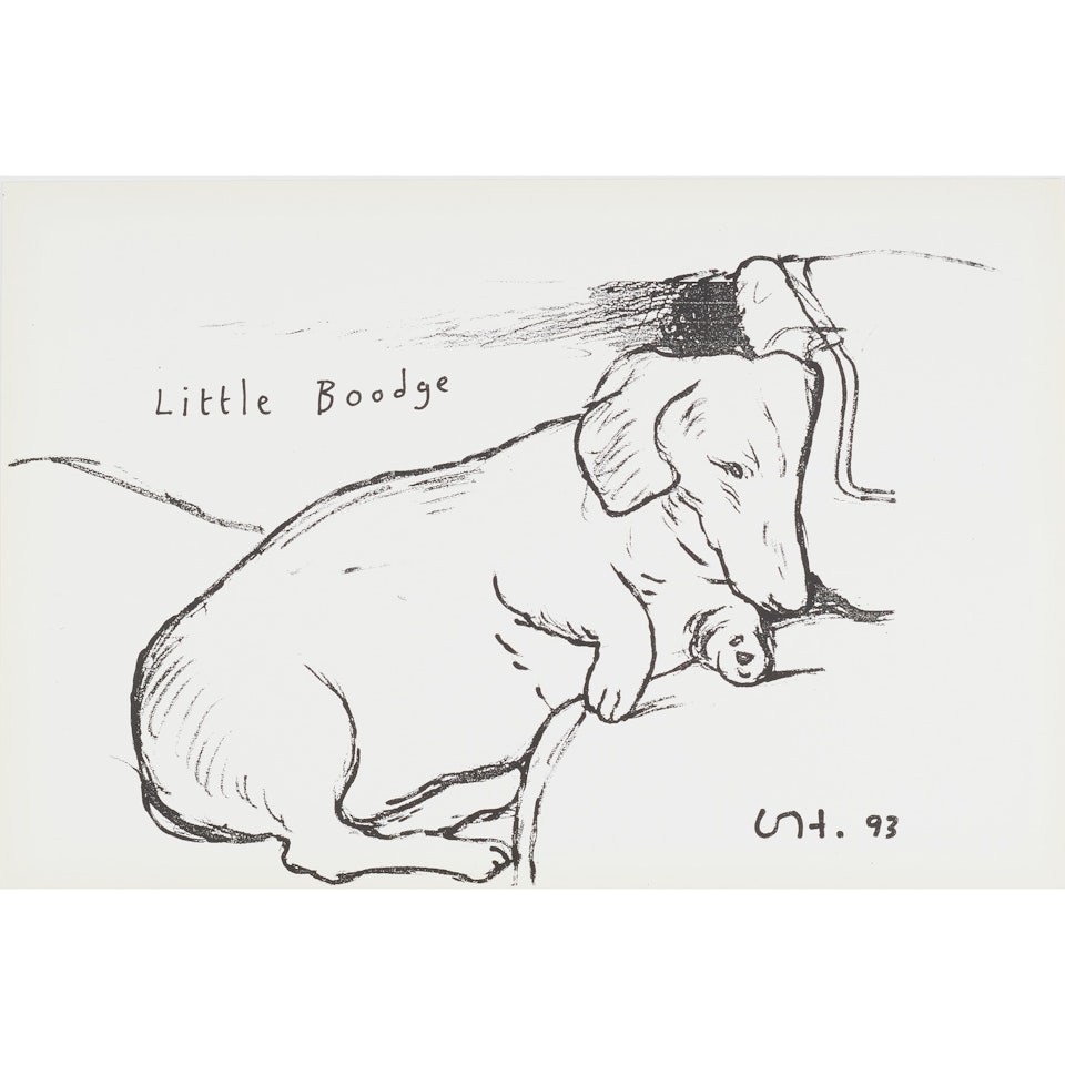 LITTLE BOODGE by David Hockney