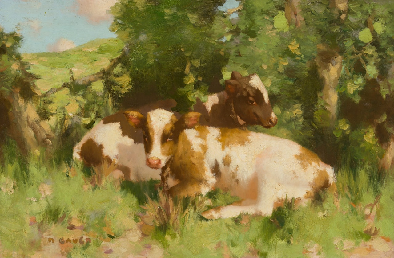 CALVES IN THE SHADE by David Gauld