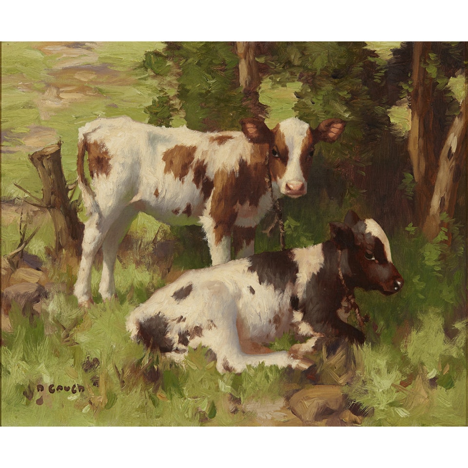 Calves in a summer landscape by David Gauld