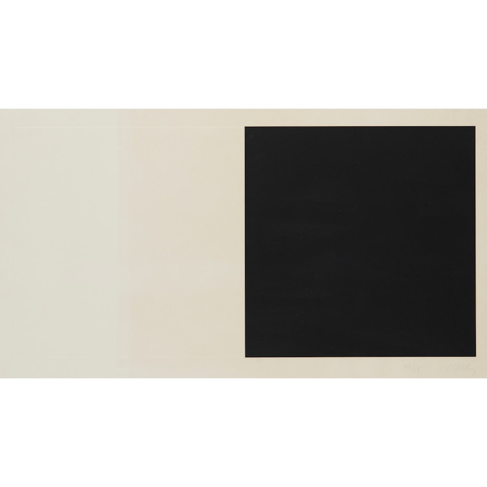 WHITE AND BLACK by Ellsworth Kelly