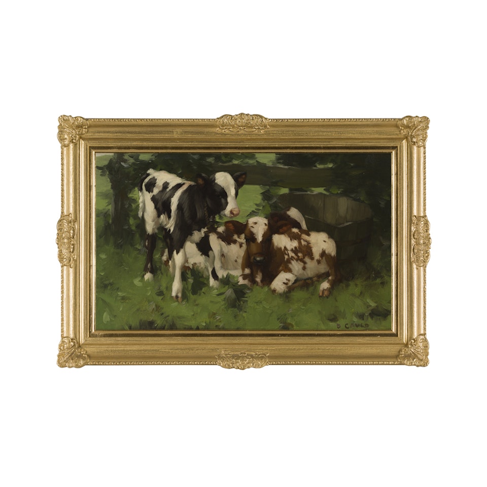 CALVES BY A WATER-BUTT by David Gauld