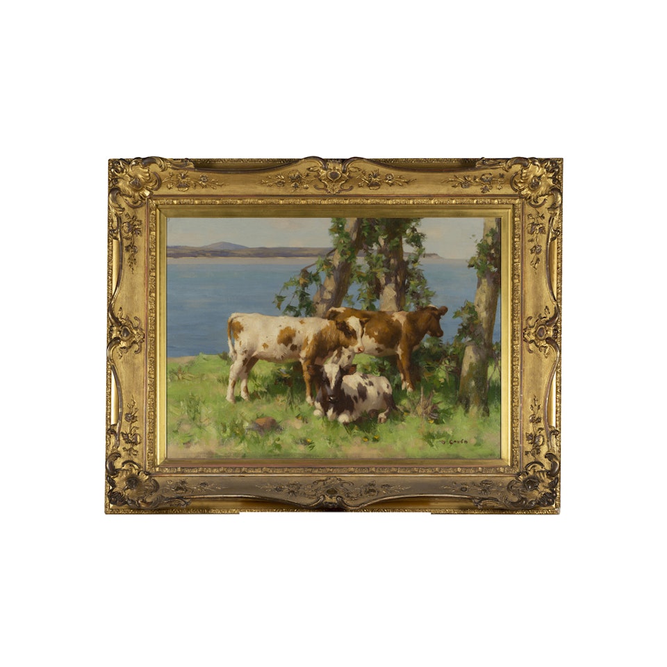CALVES BY THE SOLWAY by David Gauld