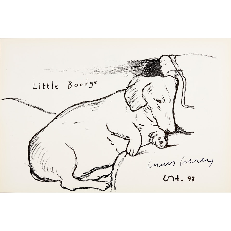 LITTLE BOODGE by David Hockney
