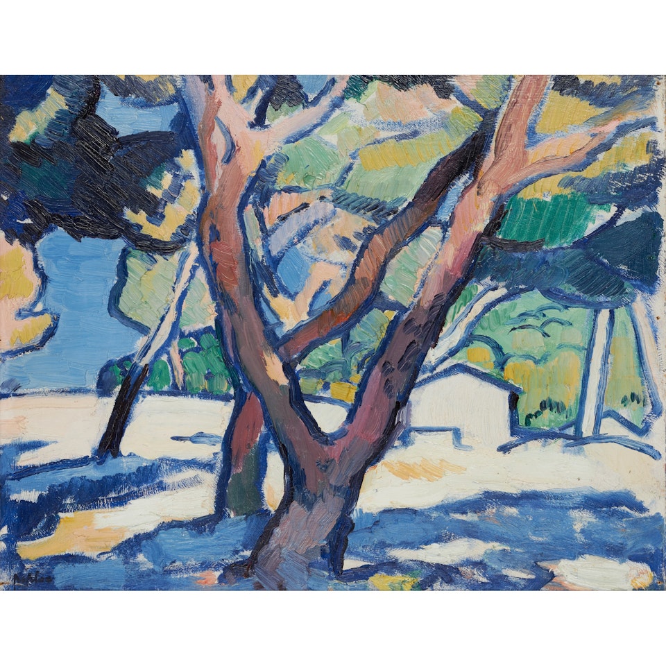 OLIVE TREES, CASSIS by Samuel John Peploe