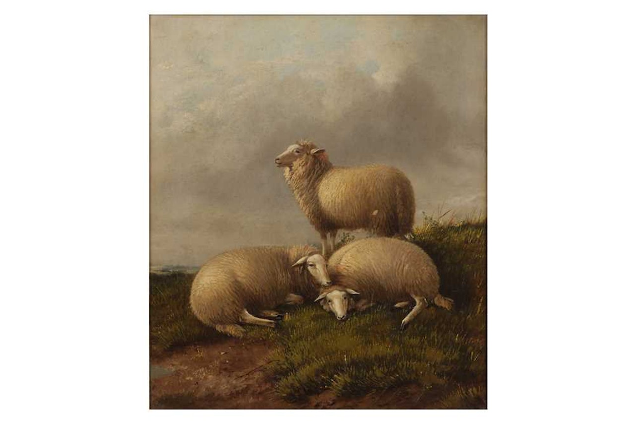 Sheep at Harble downs, Canterbury by Thomas Sidney Cooper