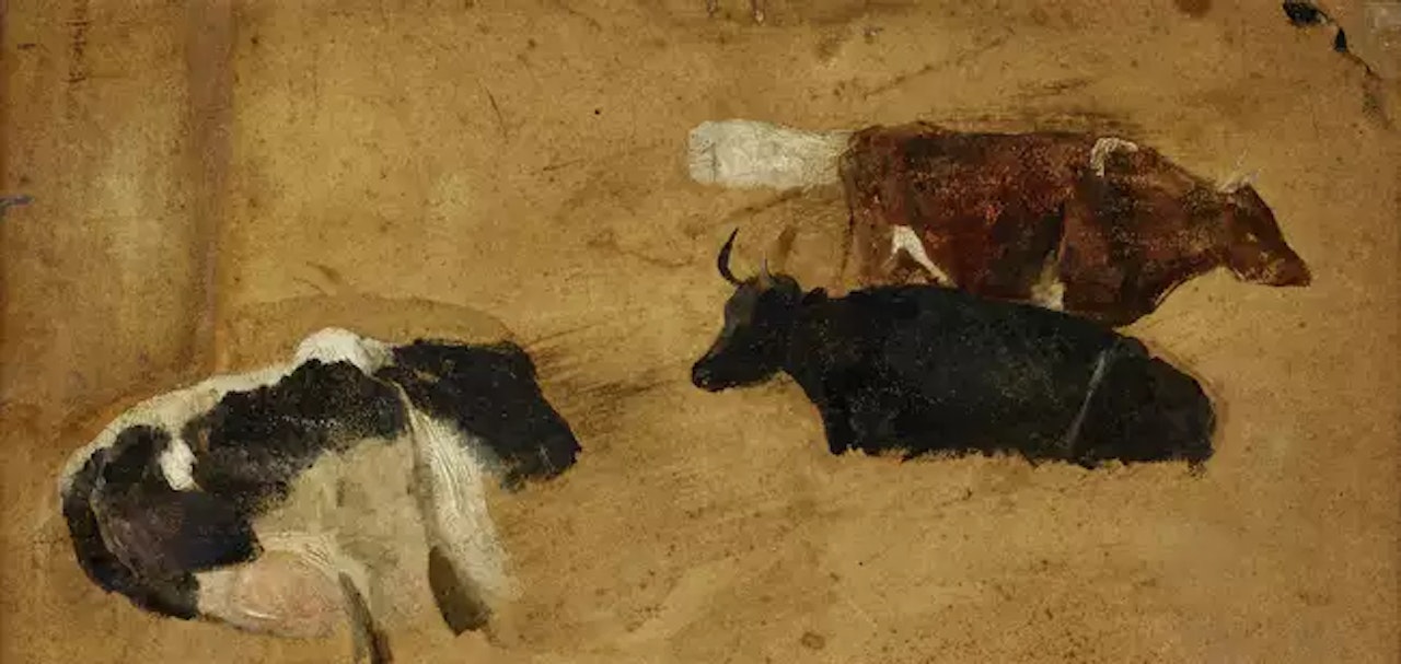 Studies of cattle by Thomas Sidney Cooper