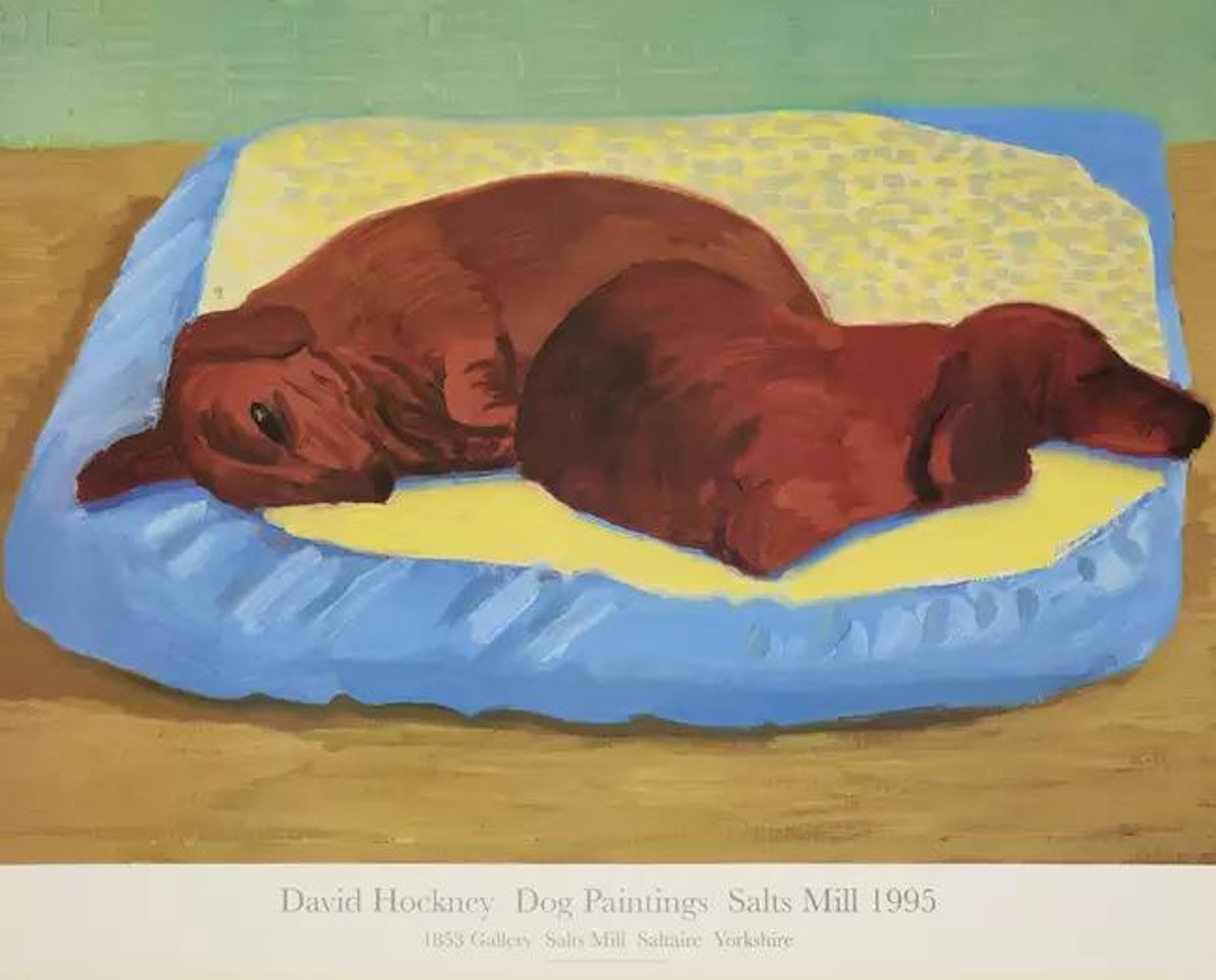 Dog 43 by David Hockney