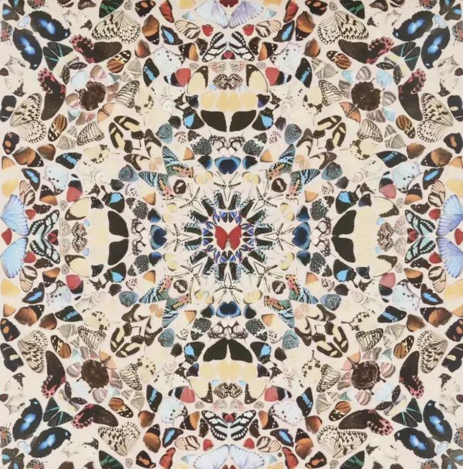 In a gadda de vida by Damien Hirst