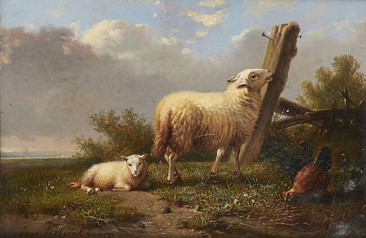 Sheep by a gate by Eugène Joseph Verboeckhoven