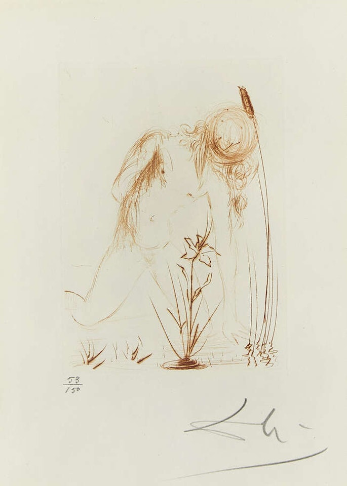 Narcisse [Michler & Lopsinger 284] by Salvador Dali