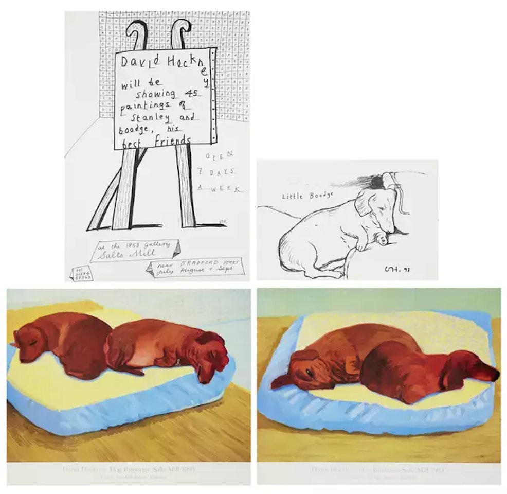 Dog 38, Dog 43, Little Boodge by David Hockney