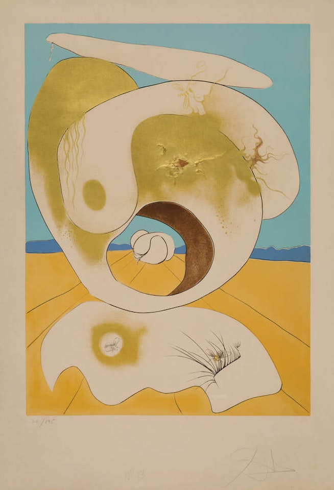 Vision planetaire et scatologique [Michler & Löpsinger 645] by Salvador Dali