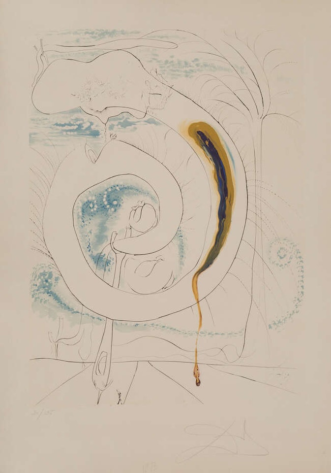 Le Cercle visceral du cosmos [Michler & Löpsinger 647] by Salvador Dali