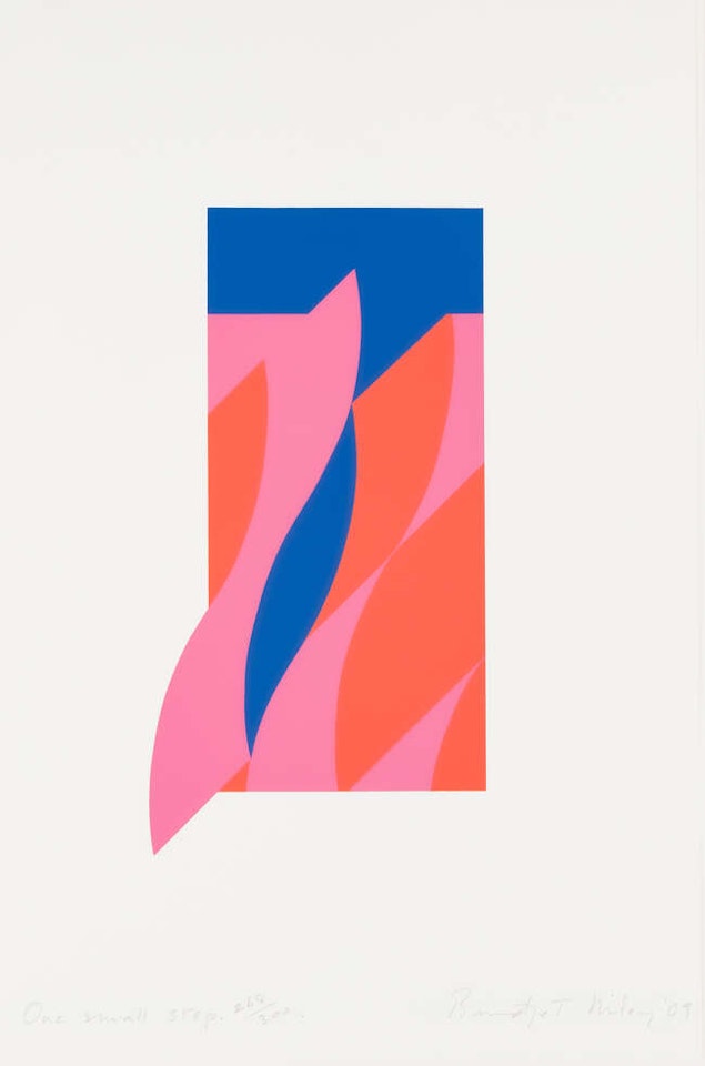 One Small Step by Bridget Riley