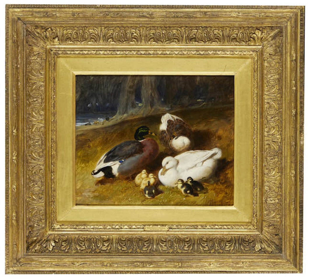 The Ducklings by John Frederick Herring