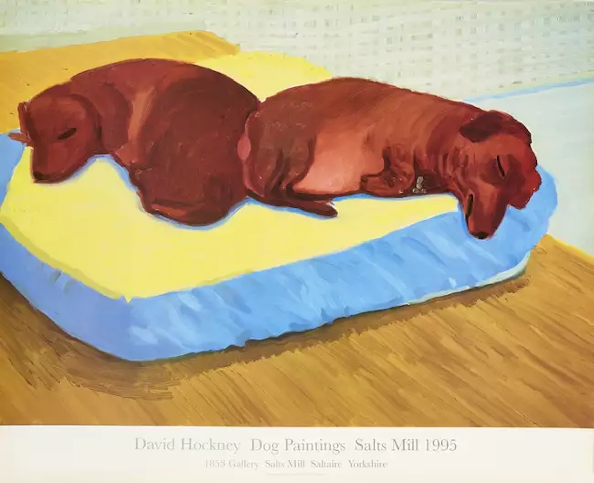 Dog 38, Dog 43 by David Hockney