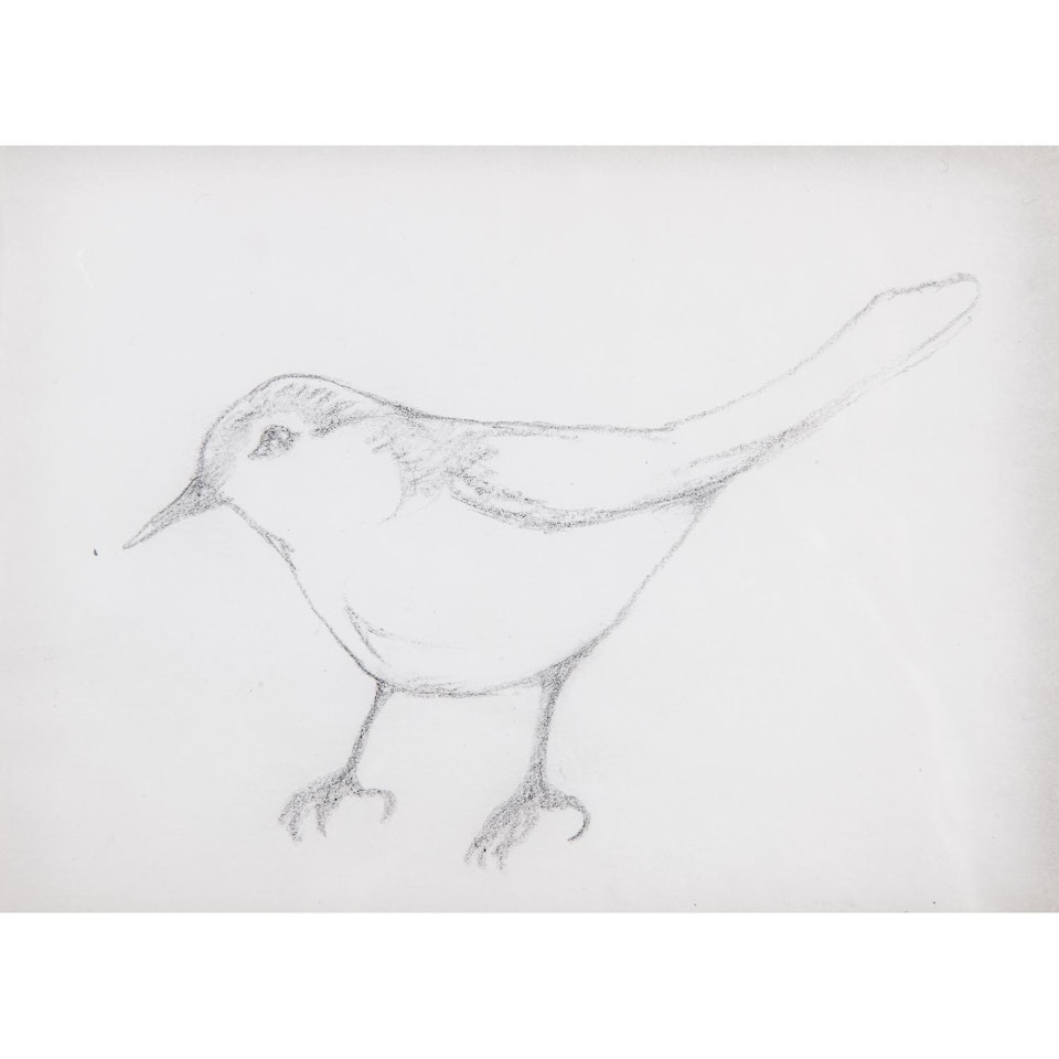 OISEAU TOURNÉ VERS LA GAUCHE by Leonard Tsuguharu Foujita
