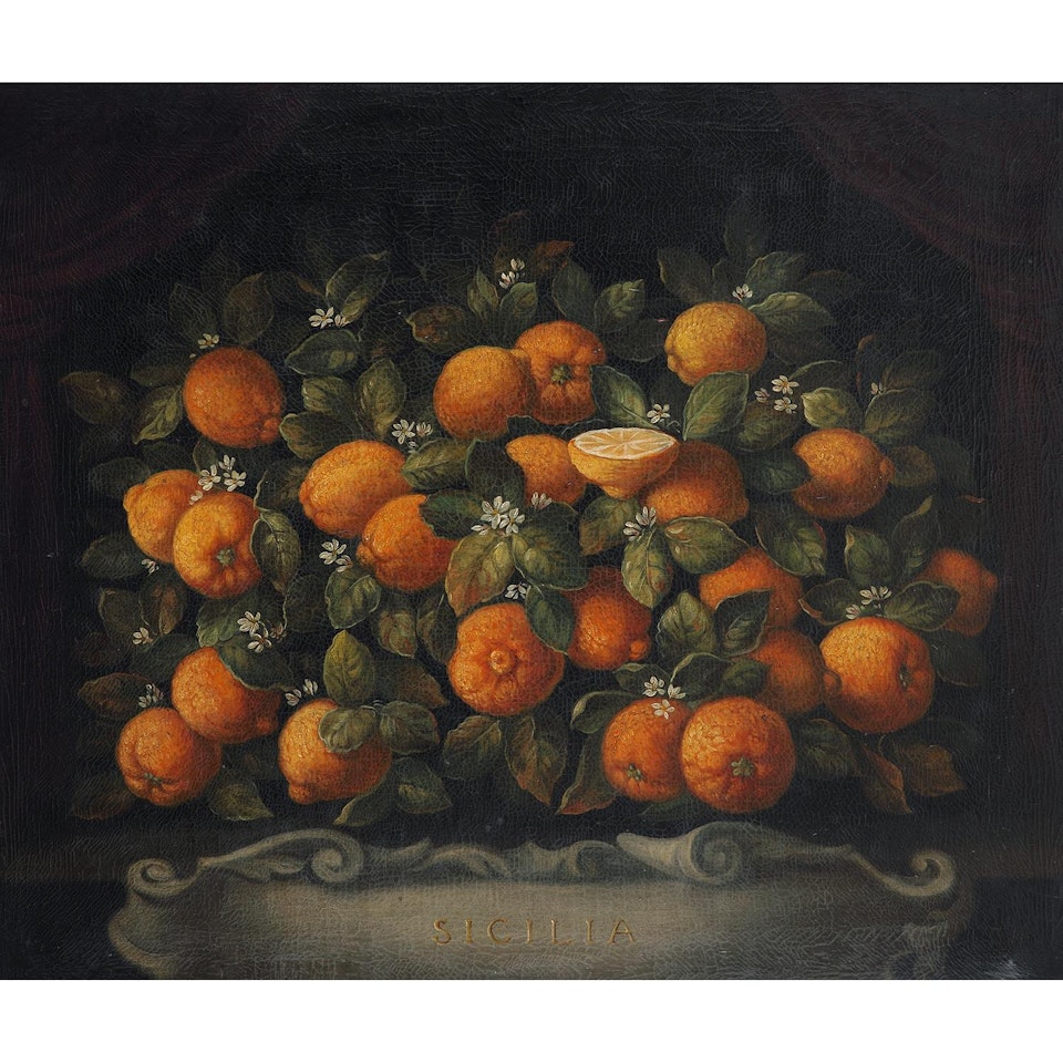 LEMONS ORANGES by Italian School