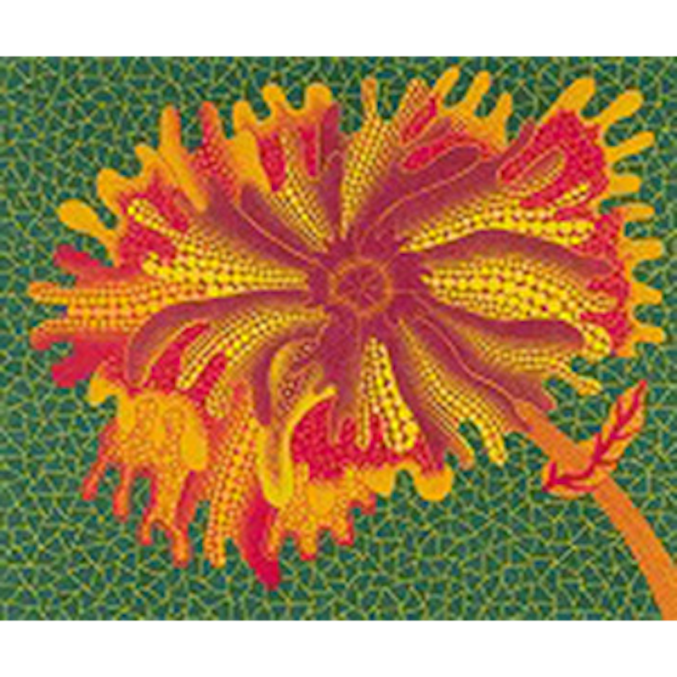 FLOWERS A (Kusama 349) by Yayoi Kusama