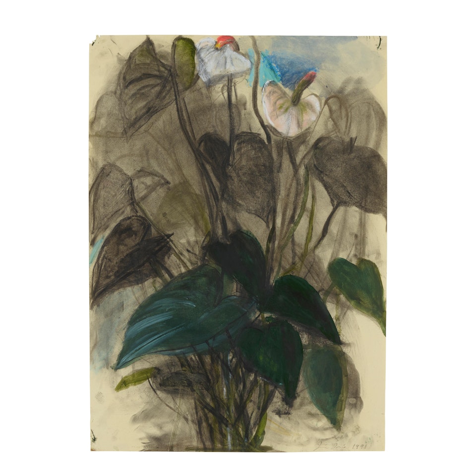 Anthurium by Jim Dine