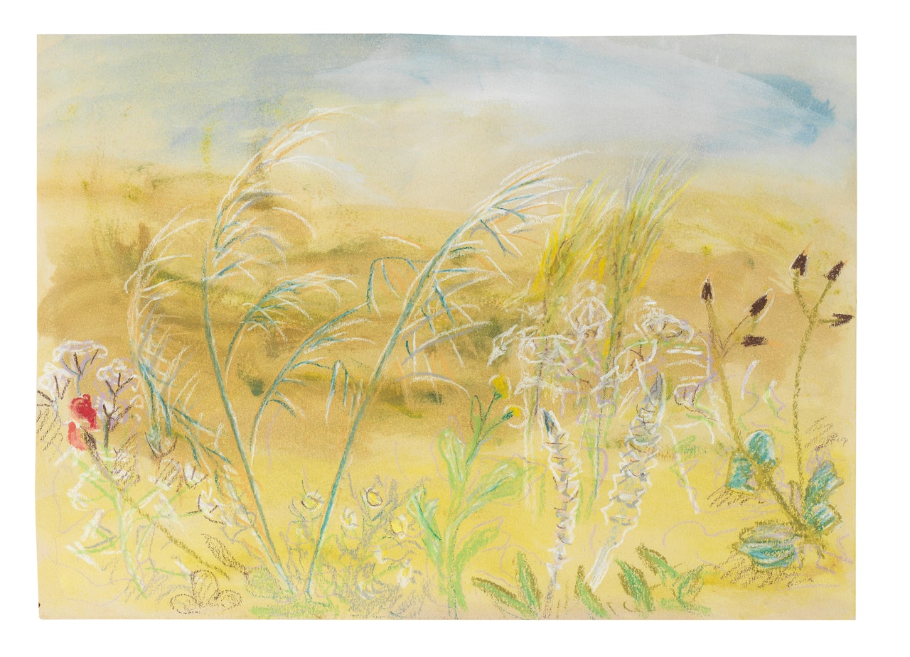 Wild Flowers, Greece by Winifred Nicholson