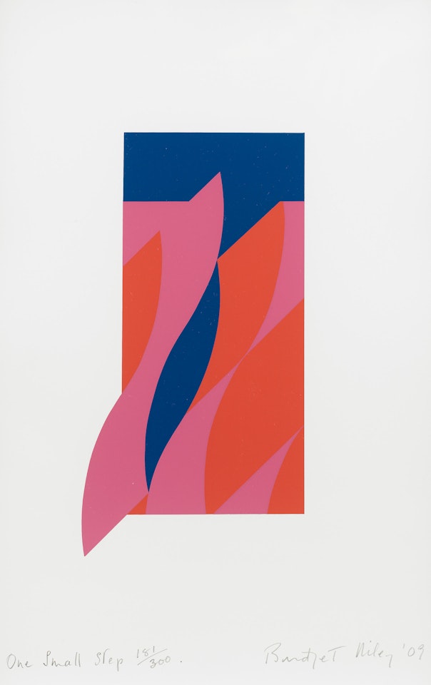 One Small Step by Bridget Riley