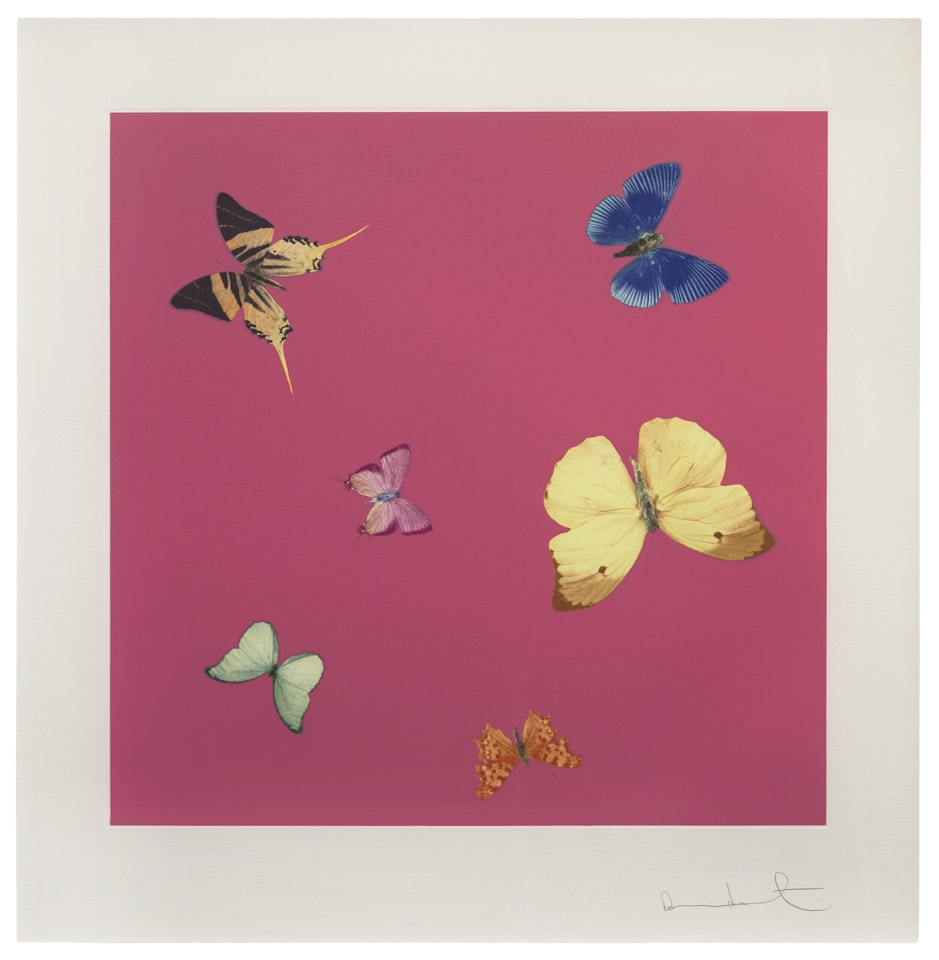 Lullaby, from: Love Poems by Damien Hirst