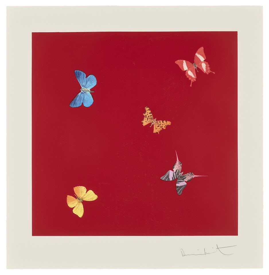 She Walks in Beauty, from: Love Poems by Damien Hirst