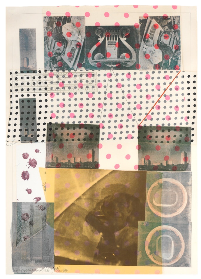 Cage by Robert Rauschenberg