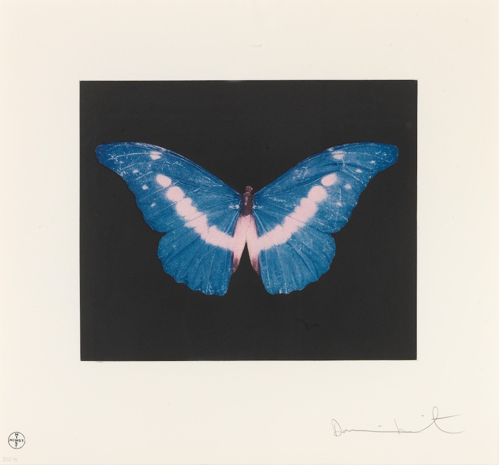 To Belong - Butterfly by Damien Hirst