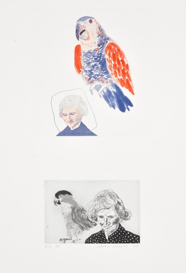 My Mother with Parrot (M.C.A.T. 148, S.A.C. 161) by David Hockney