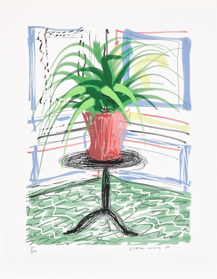 A Bigger Book, Art Edition C by David Hockney