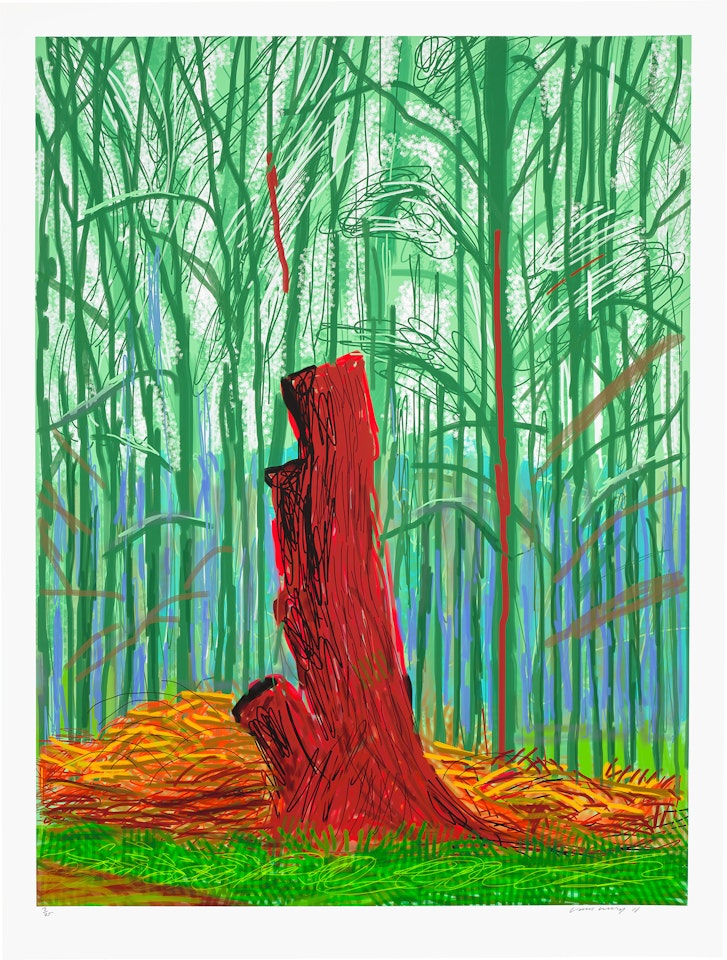 The Arrival of Spring in Woldgate, East Yorkshire in  (twenty eleven) – 25 February by David Hockney