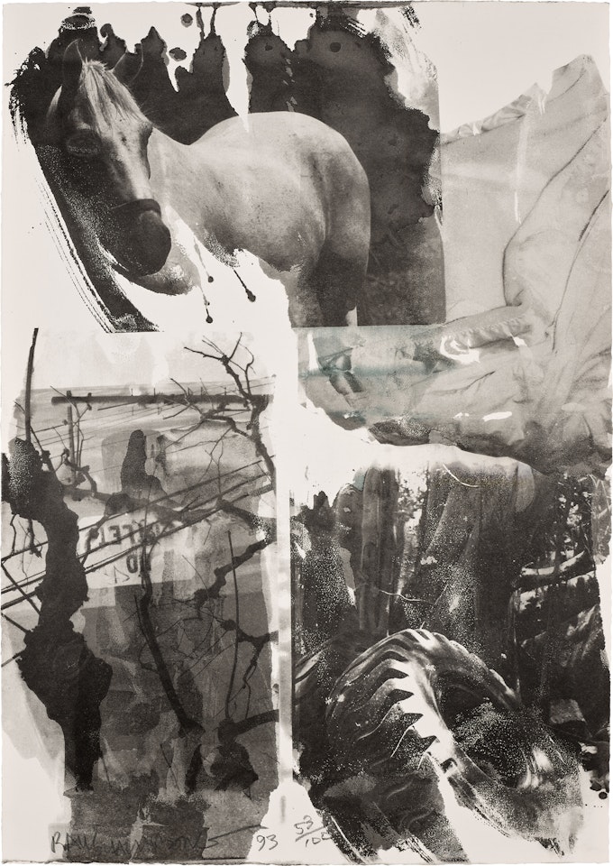 Horse Silk, from Night Sights by Robert Rauschenberg