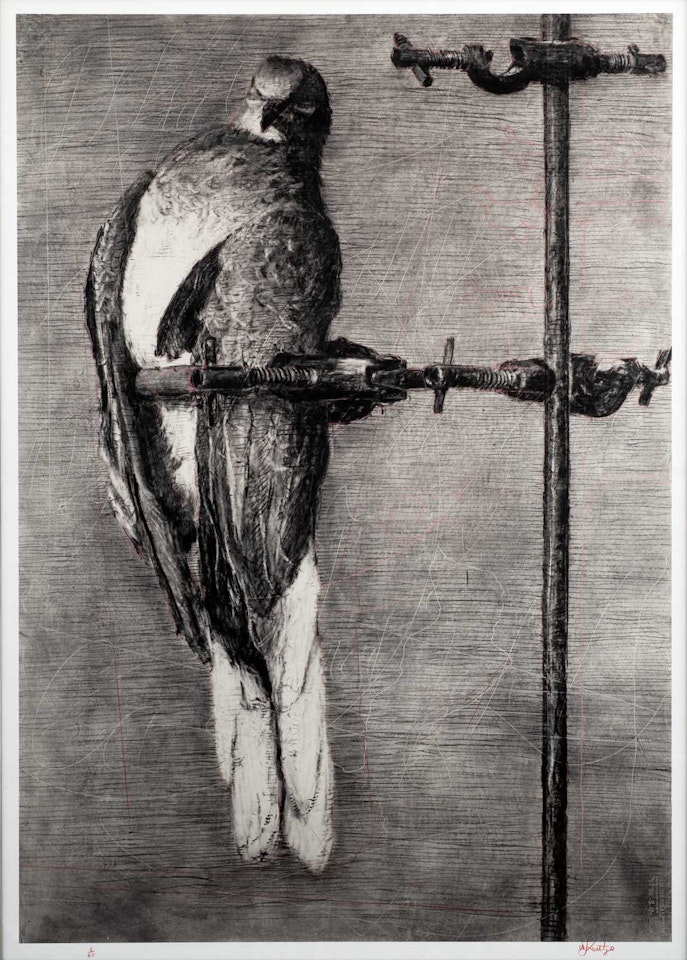 Bird Catcher by William Kentridge